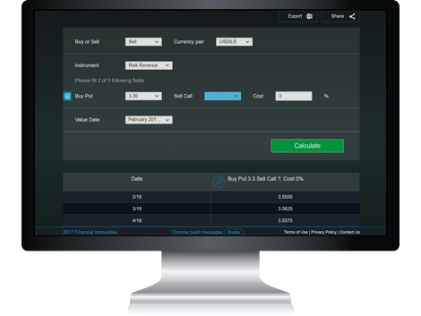 Hedging instruments calculator